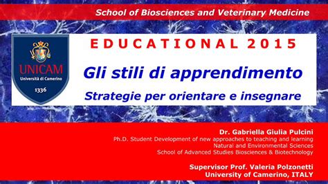 PDF Presentazione Standard Di PowerPoint Gli Stili Di Apprendimento