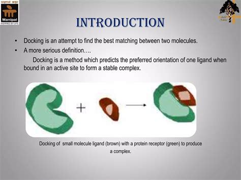 Molecular docking | PPTX