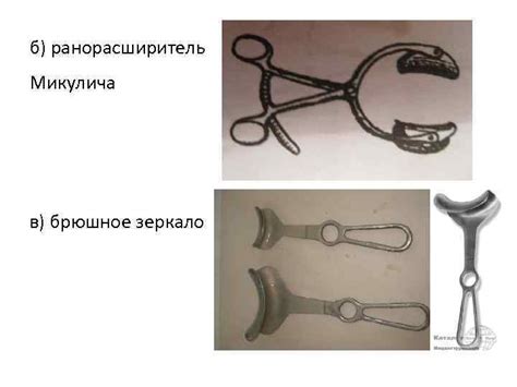 Классификация инструментов Над презентацией работала Тарасова Полина Группа