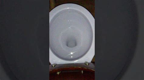 Purple Rheem Toilet Flushing Youtube
