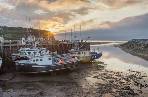 Bay Of Fundy Archives Alan Majchrowicz Photography