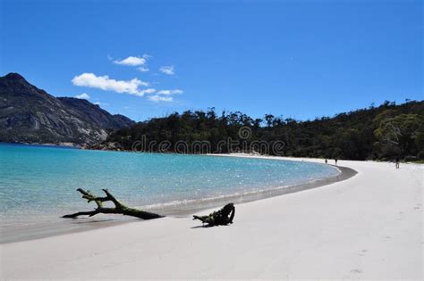 Wineglass Bay White Sand Beach With Wood Stick In Tasmania Stock Image Image Of Australia