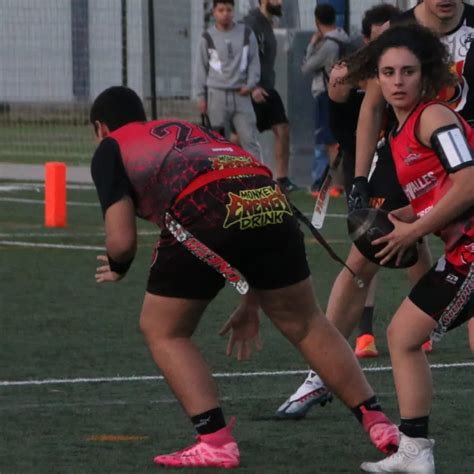 Scorpions Football Flag Monkey Energy Drinks