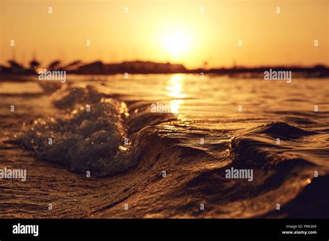 Sea wave on the beach at sunset Stock Photo - Alamy