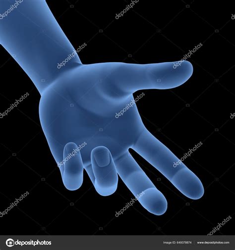 badan manusia tangan pose anatomi foto stok  magicmine