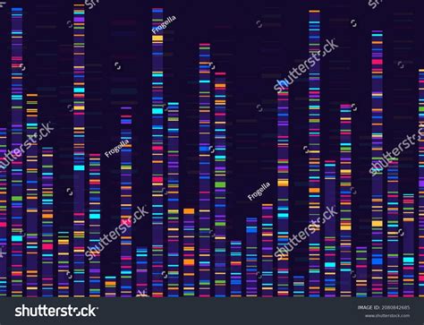 genomic data images stock  vectors shutterstock