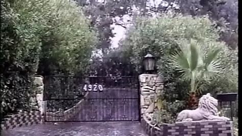 Misty Rein Free Porn Star Videos Xhamster