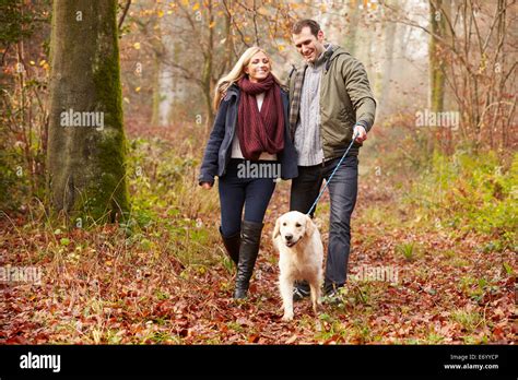 Couple Walking Dog Through Winter Woodland Stock Photo Alamy