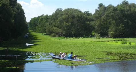 Tra Su Cajuput Forest Mekong Delta Attractions Vietnam Travel