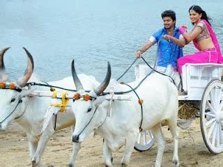 Indian Actress Navel Boobs Tights Hip And Sex Anushka Sexy Photos