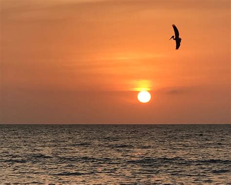 The Best Things To Do In Manzanillo Del Mar 2025
