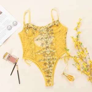 Wholesale Color Sexy Lace Underwear Erotic Mesh Lingerie Embroidery Bodysuit Sexy Bikini Set