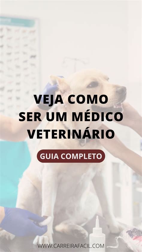 Veja como ser um médico veterinário Médico veterinário Veterinário