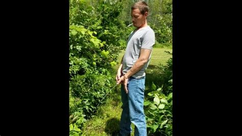 L uomo Che Fa Pipì Nella Natura Pornhub Gay