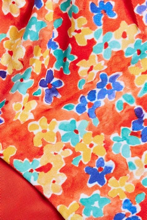 Caroline Constas Leila Gathered Floral Print Low Rise Bikini Briefs The Outnet