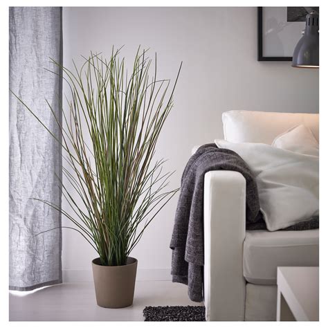 Fejka Artificial Potted Plant Grass 17 Cm Ikea Latvija