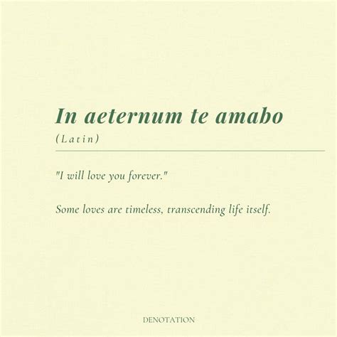 latin phrase   beautiful latin words latin love quotes latin