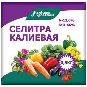 Селитра калиевая 500 гр. (Буйские удобрения) – купить с доставкой по ...