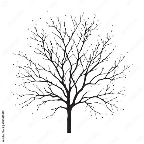 Vector Black Silhouette Of A Bare Tree Naked Tree Vector Silhouette Isolated White Background