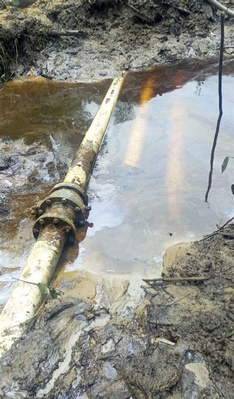 Photos Crude Oil Thieves Major Export Pipeline Platform Uncovered