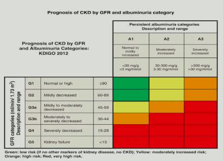 630 Pharmacotherapy CKD Anemia Flashcards Quizlet