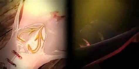 Anime Tied Up Sex Prisoner Cunt Tortured By Samurai Tnaflix