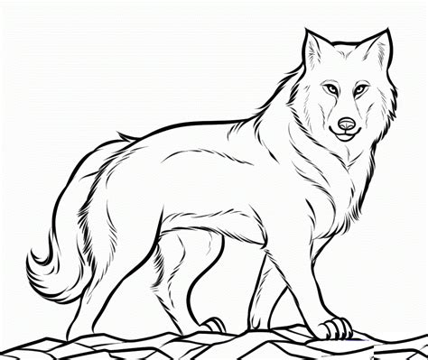 Desenhos De Lobo Para Desenhar Facil - 8