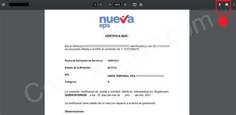 Nueva Eps Afiliaci N Y Servicios En L Nea Gu A Completa