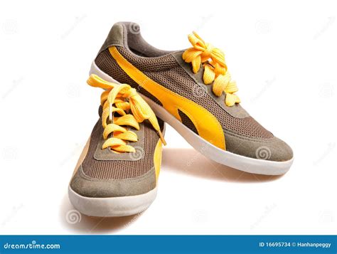 Canvas Sneakers Stock Photo Image Of Shoes Green Exercising 16695734