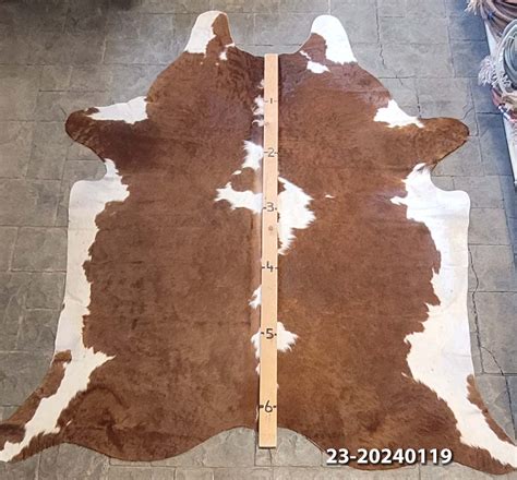 Cowhide Rug 23 20240119 Longhorns Head To Tail Store