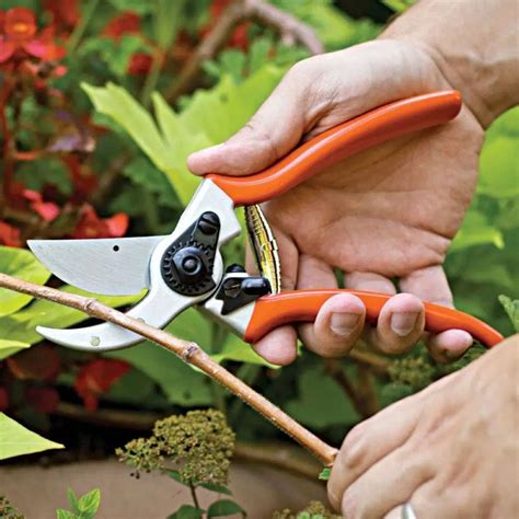 13 Best Gardening Hand Tools for 2023 | Storables