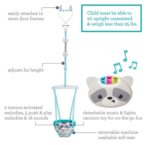 2 In 1 Music And Lights Doorway Jumper Raccoon Infantino