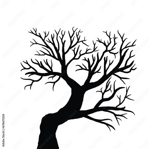 Naked Tree Silhouettes Hand Drawn Black Branch Tree Hand Drawn Tree