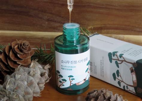 HI-REVIEW: ROUND LAB Pine Tree Calming Cica Ampoule – HIKOCO