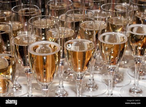 champagne filled glasses  res stock photography  images alamy