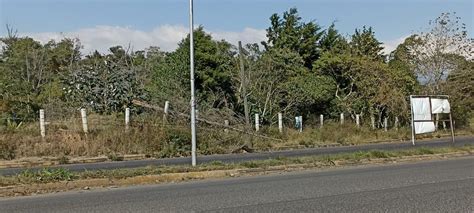 Así afectaron los fuertes vientos en Xalapa Fotos Último en Noticias