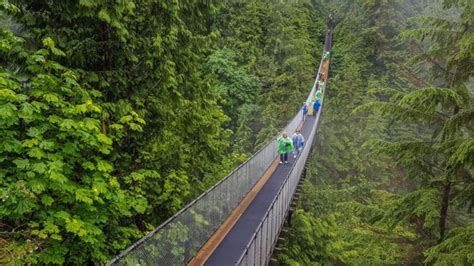 Foto 9 Jembatan Paling Menakutkan Di Dunia No 7 Bikin Merinding