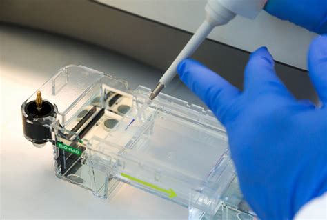 Regenerative Care: our innovation | Fidia Farmaceutici