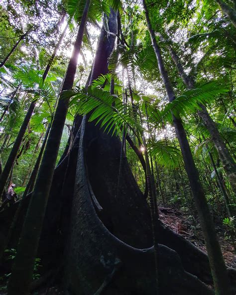 Where to find the most recent archive of mlive deaths 13