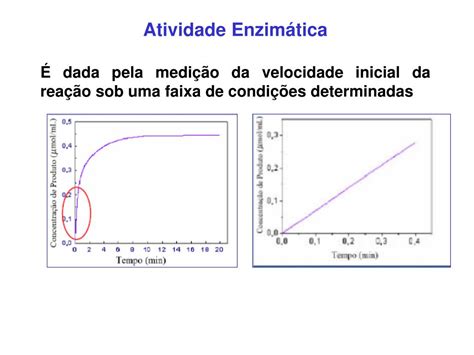 A Atividade Enzimática Pode Ser Interrompida Ou Reduzida - PPT - Aula de enzimologia Tema Efeito da temperatura e pH na atividade ...