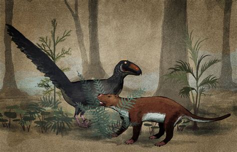 A hypothetical dinosaur survivor of the K-T event meets an up-and-coming mammal by C.M ...