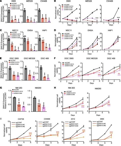 Jci Insight Sorting Nexin Sustains Pdgf Receptor Signaling In