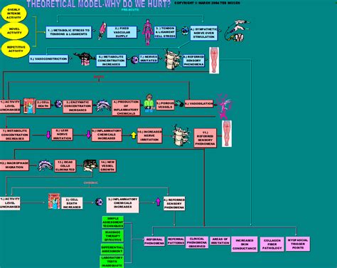 C:\Documents and Settings\apcare\My Documents\anatomyfacts\Muscle ...