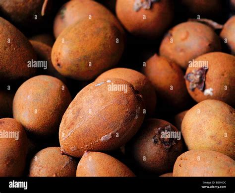 Chico Fruit Exotic Fruit Stock Photo Alamy