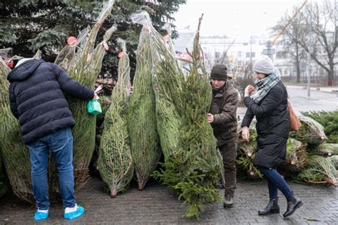 Oddaj Krew Odbierz Choink Szlachetna Akcja Las W Pa Stwowych I Rckik