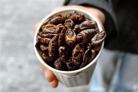 5 Spots for Eating Insects Around the World - Ready Set Trek