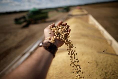 Brazil Expects A 2020 21 Record Harvest With An Estimated 268 7 Million