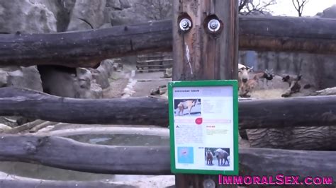 Porn Sluts Sharing Dick In Threeway