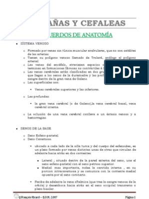 Manual De Proyecciones Radiol Gicas Versi N Compartida Pdf