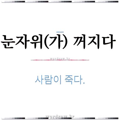 🌟눈자위가 꺼지다 사람이 죽다 표준국어대사전